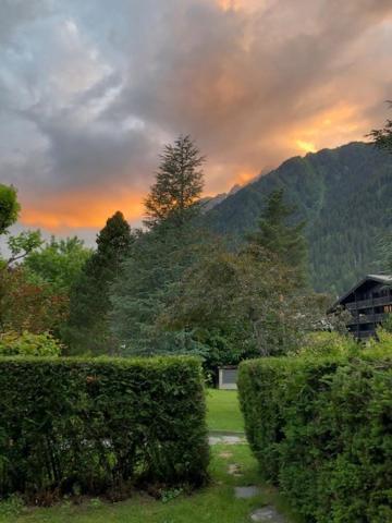 Studio Au Calme Avec Jardin Et Vue Mont-Blanc Chamonix Exterior photo